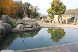Зоопарк в Праге: Водопой для слонов